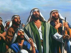 12 apostoles del cordero