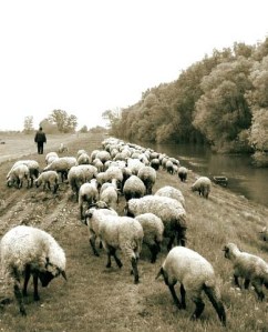 132756315_4a3a6e3b36