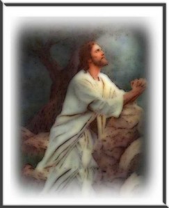 2348262412_3e86d4f1da