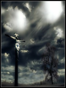 447178922_533d75cfae