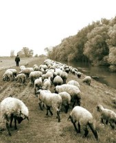 132756315_4a3a6e3b36